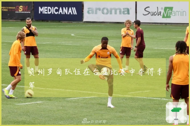 贵州罗甸队伍在台盘比赛中夺得季军